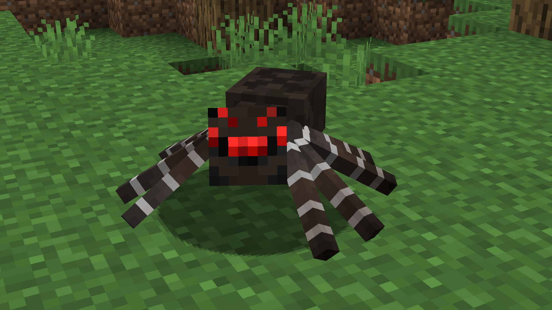 Cave Spider