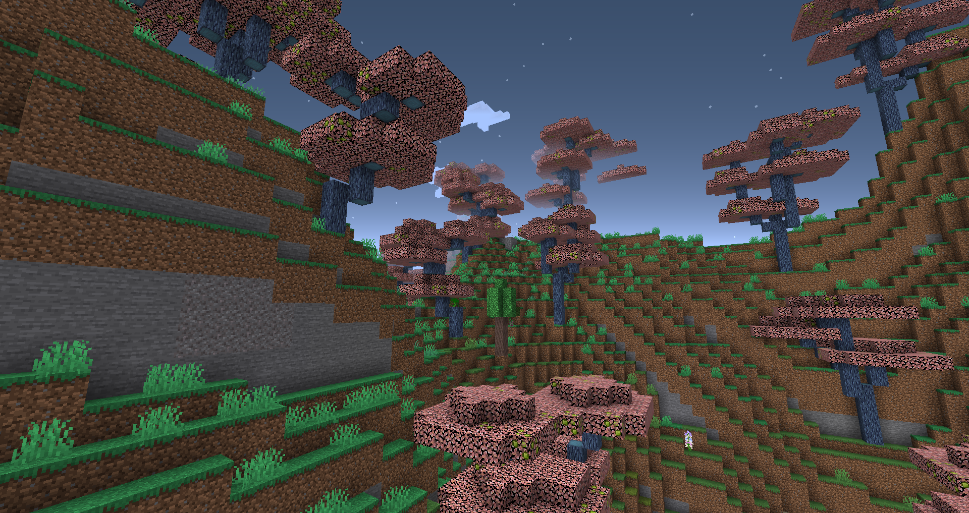 Here is one of the many biomes to explore!