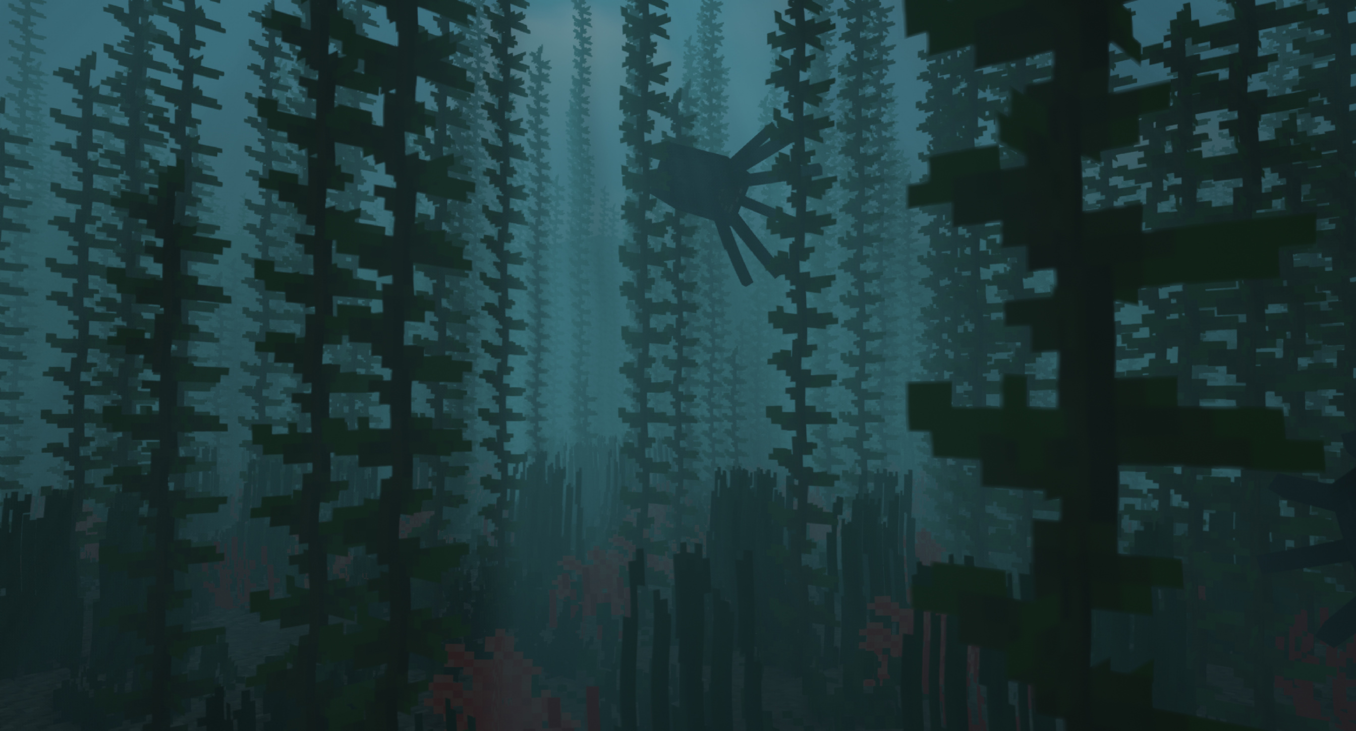 Kelp Forest