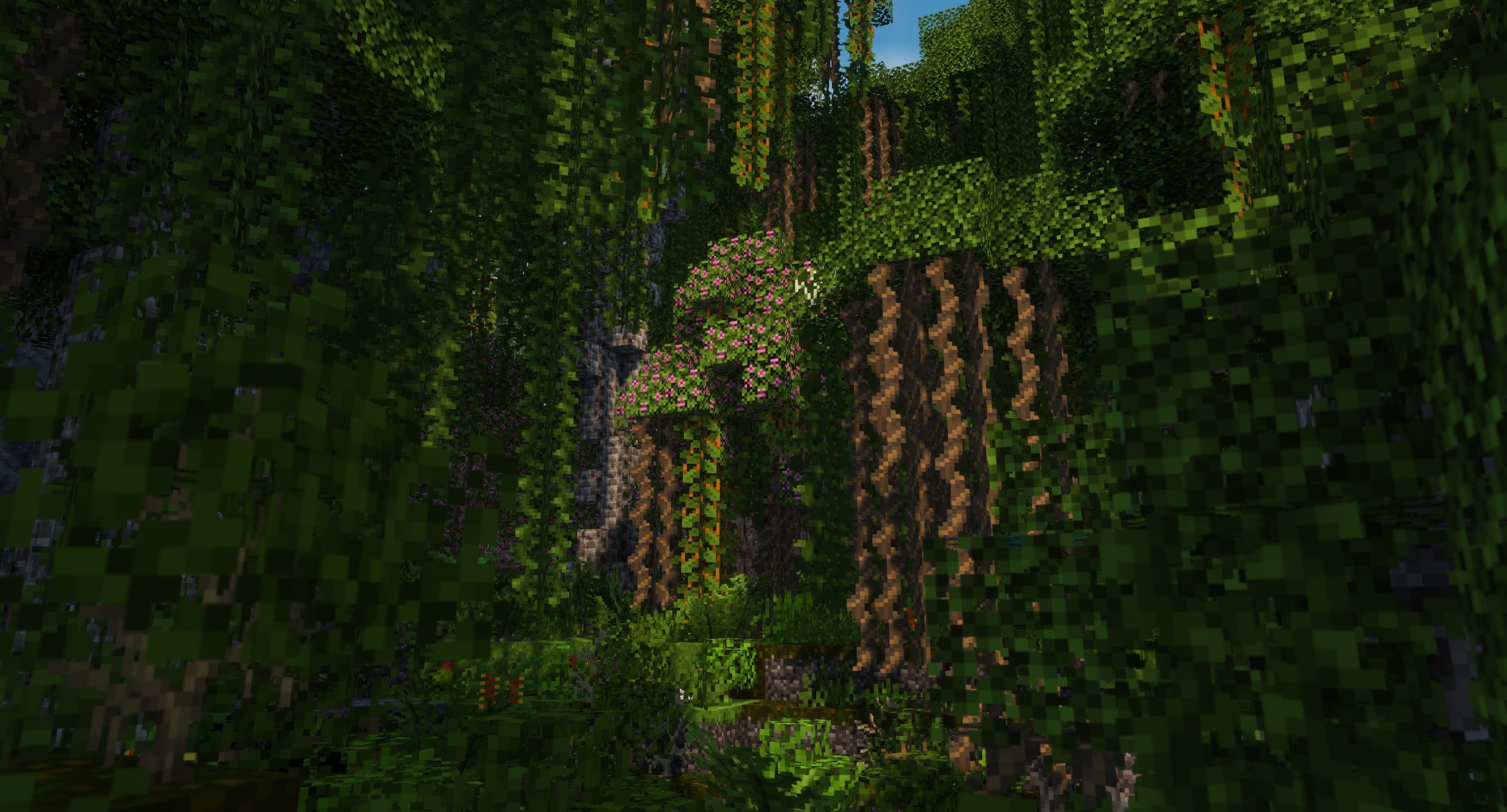 Jungle Glade