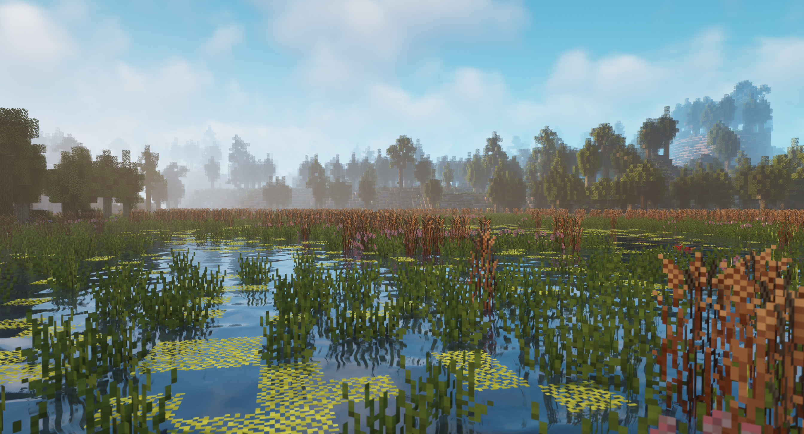Marshlands