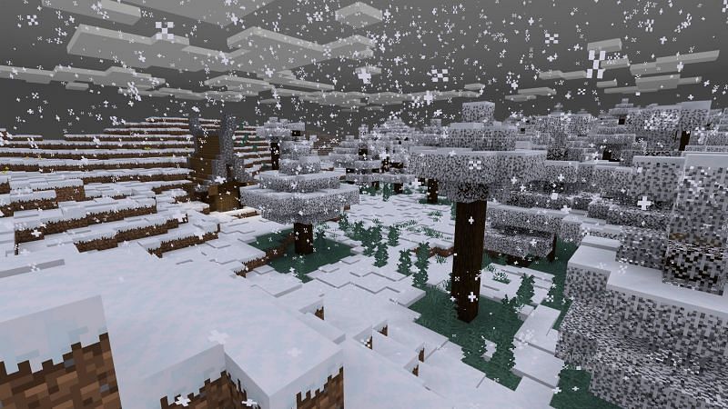 Snow In