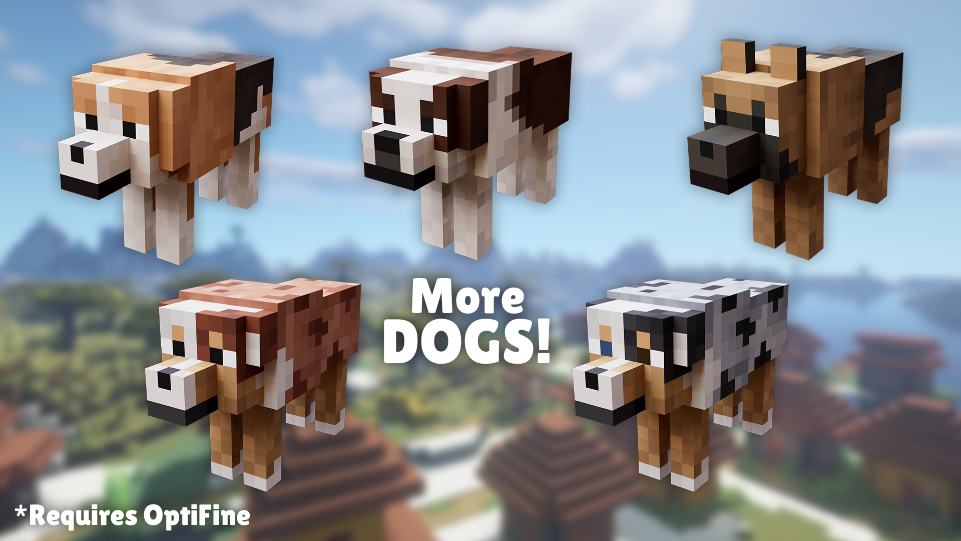 More Dogs!