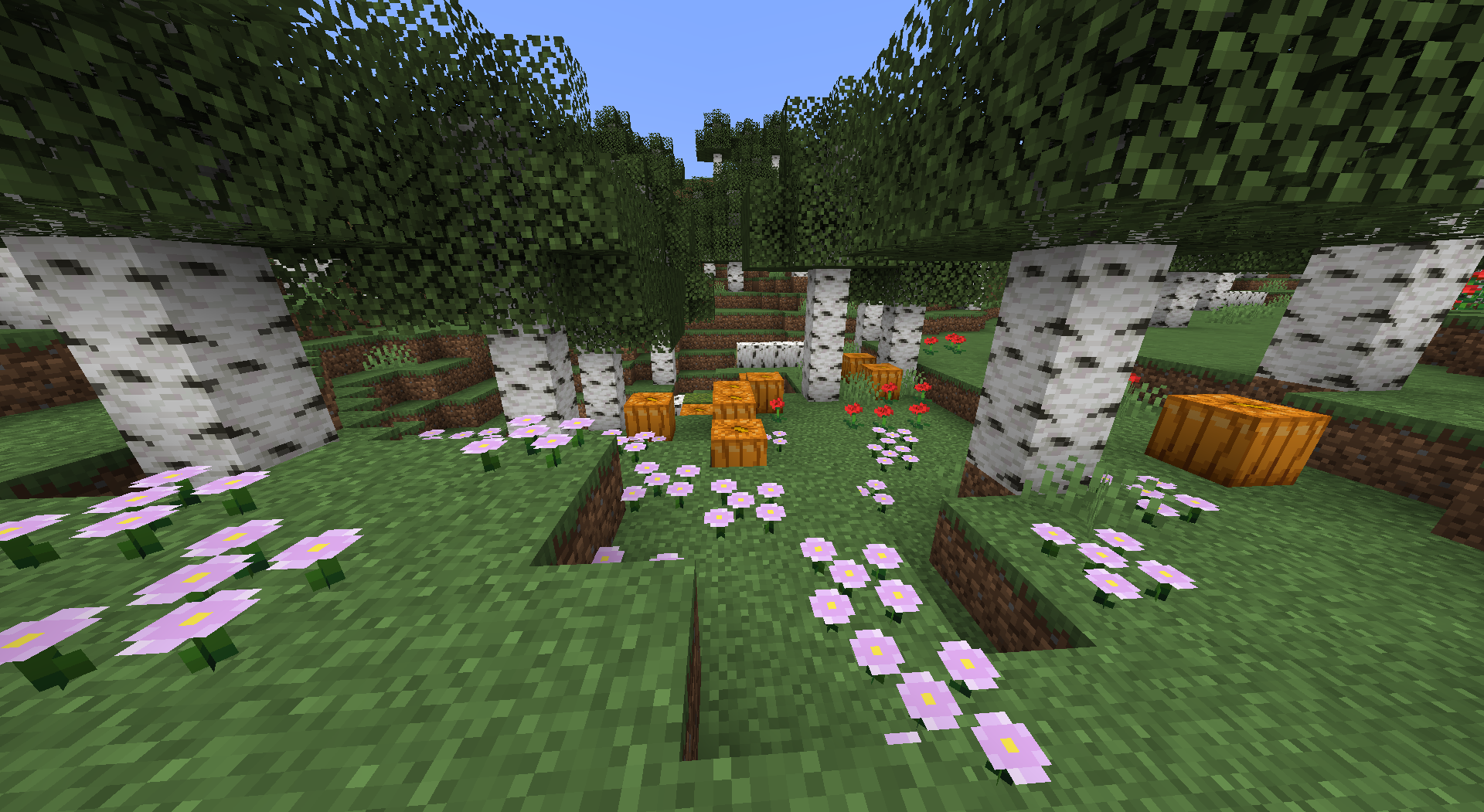 Birch Forest Upgrade