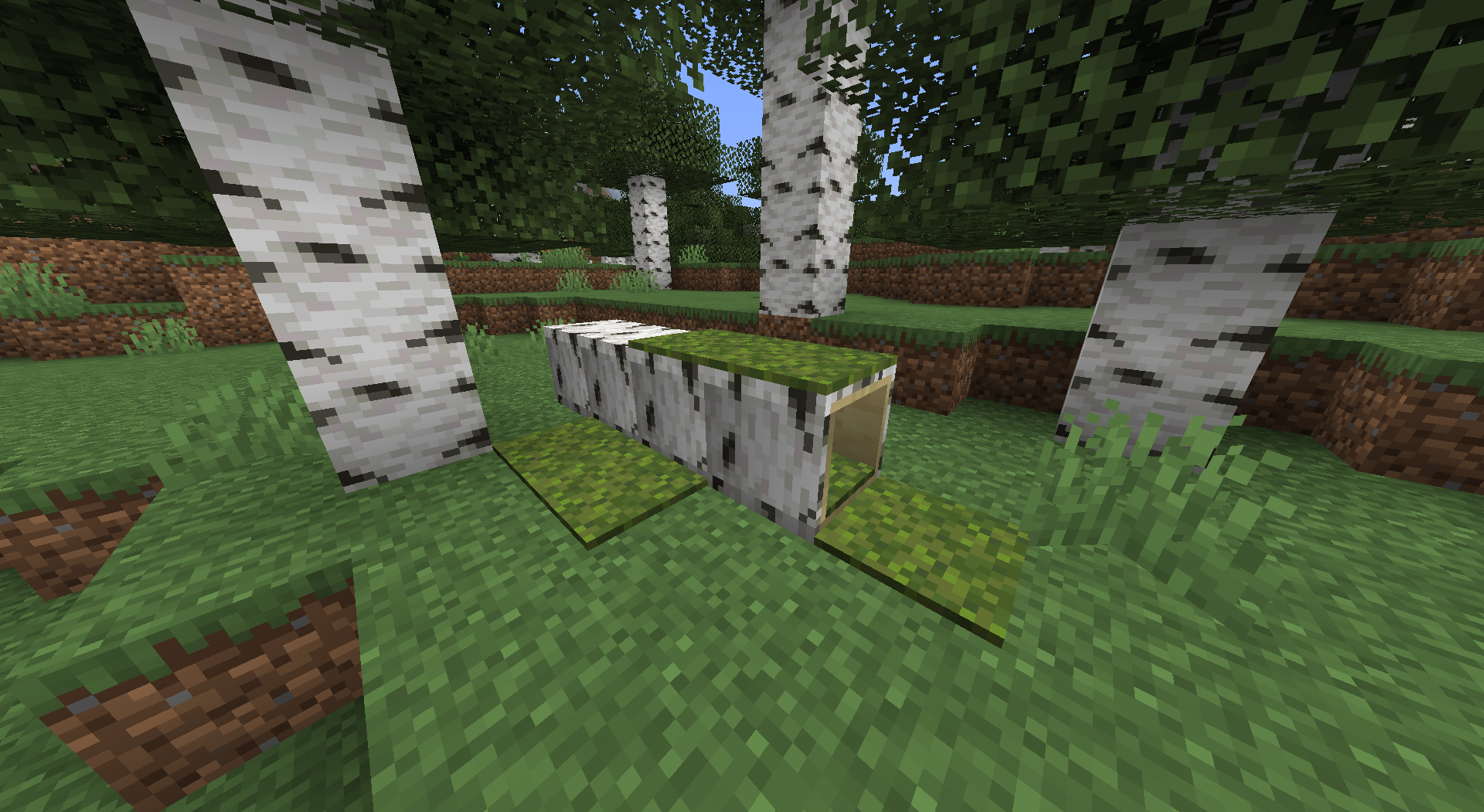 Hollow Birch Log spawn