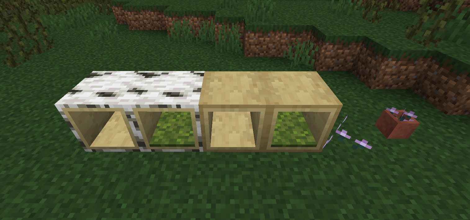 Birch Forest related blocks