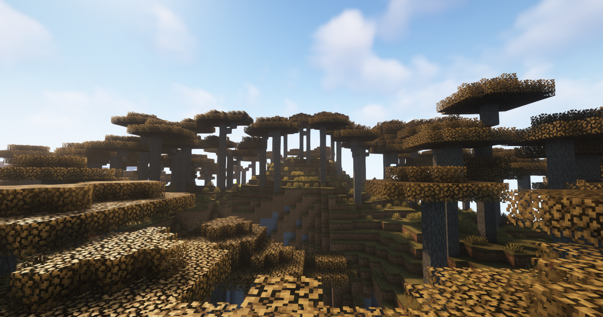 Savanna Falls Biome