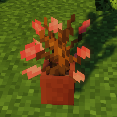 Sakura Dead Bush