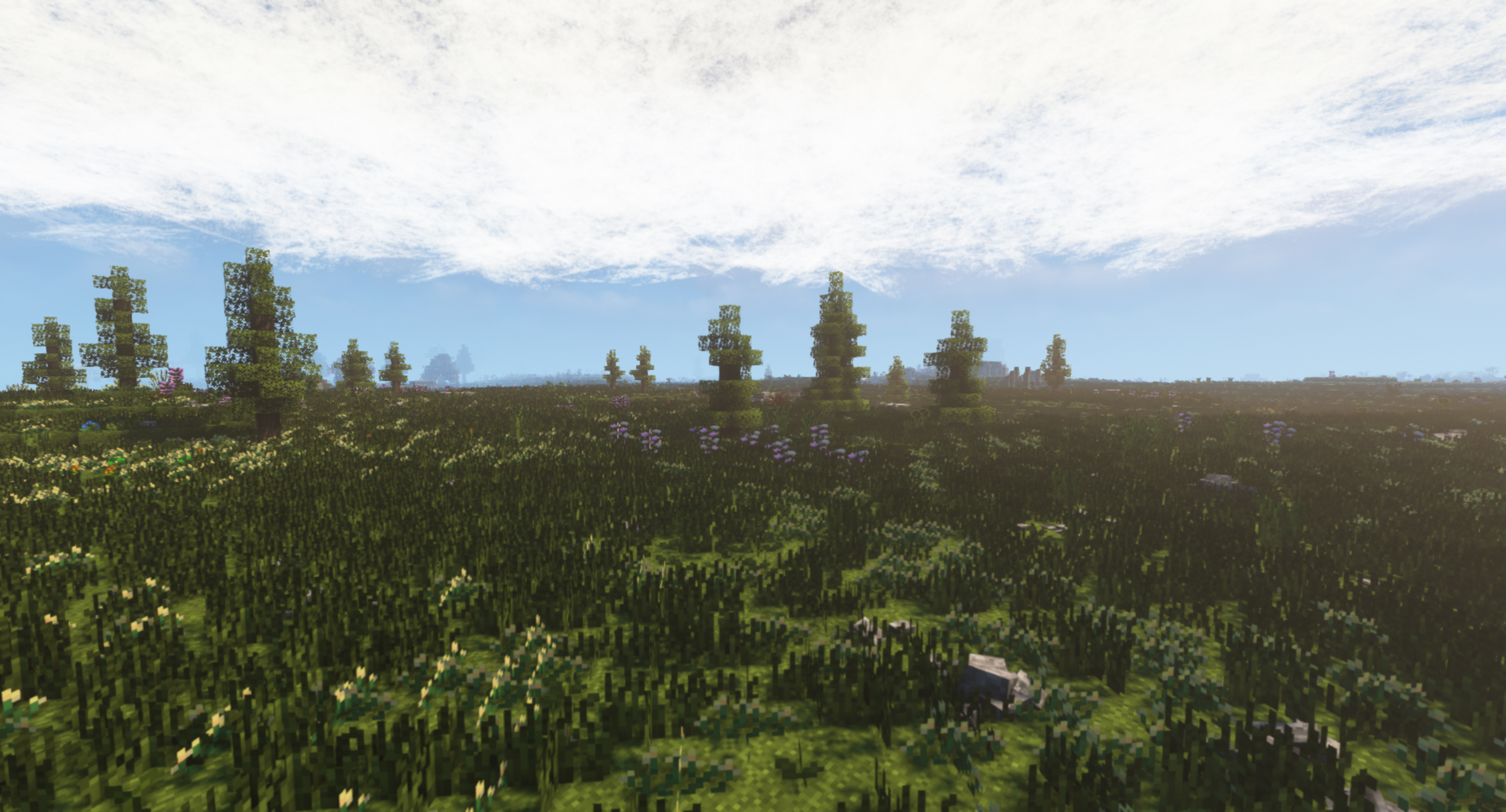 Grassland