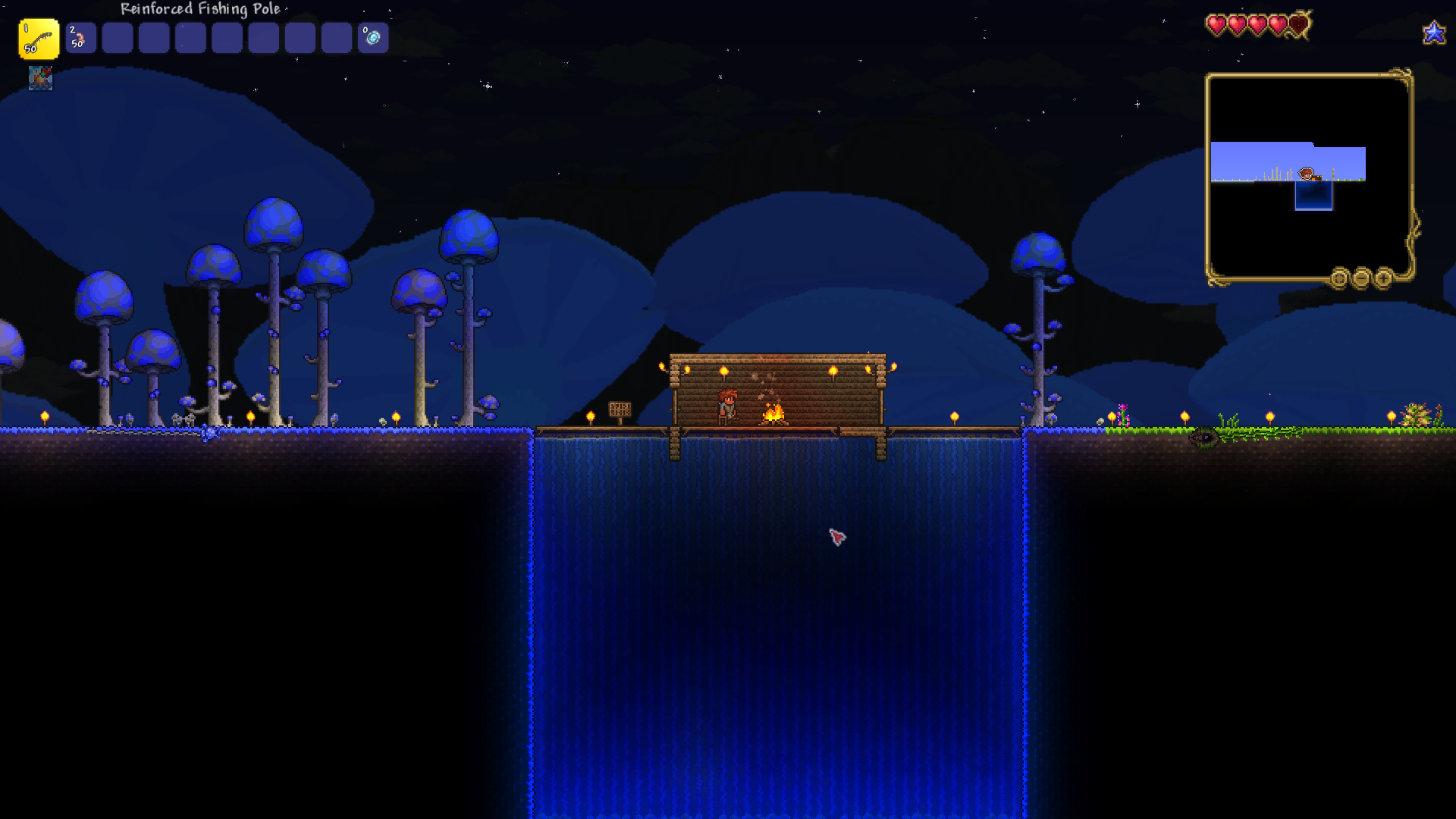 Mushroom Biome