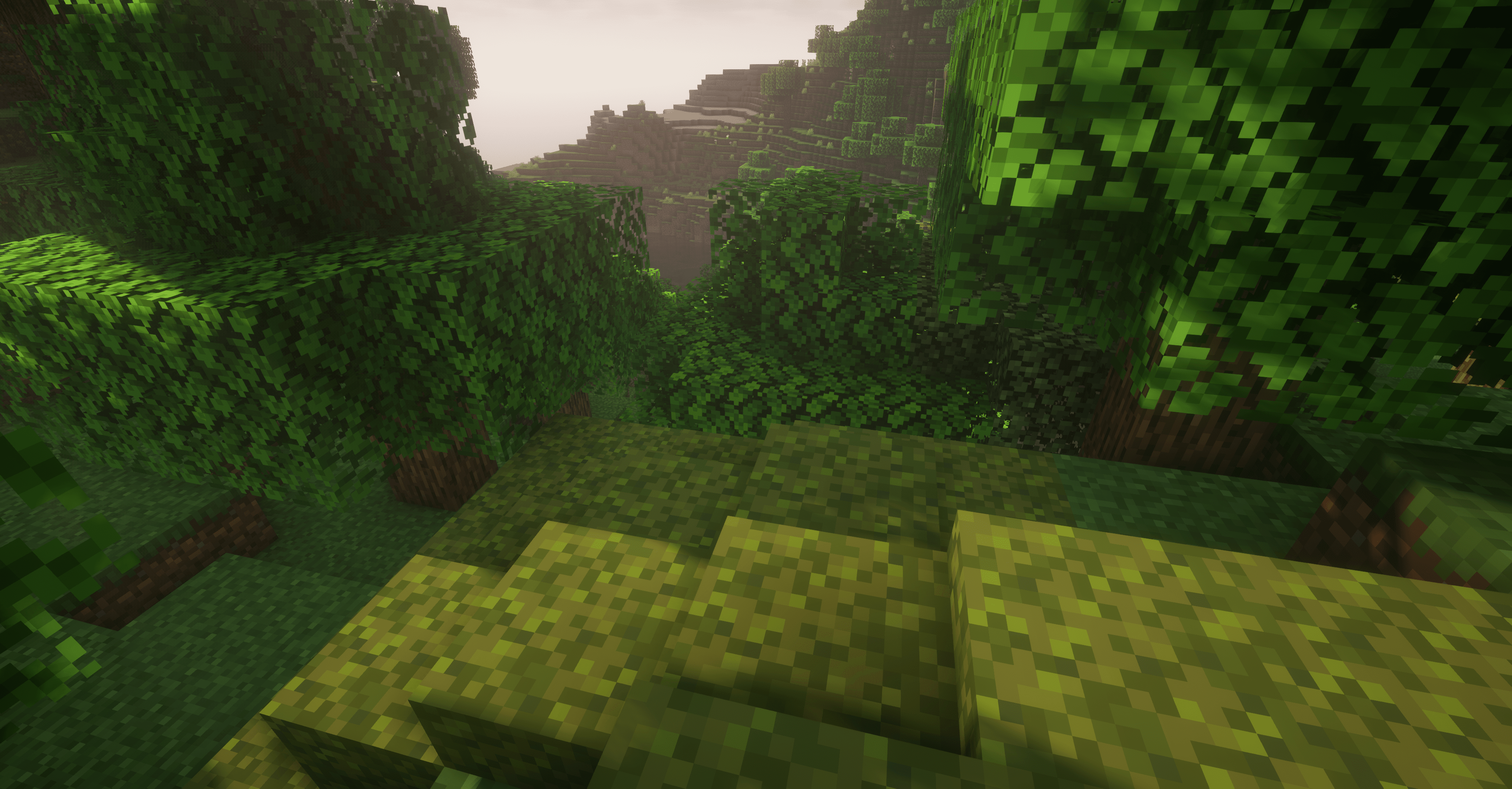 Mossy Hill 2