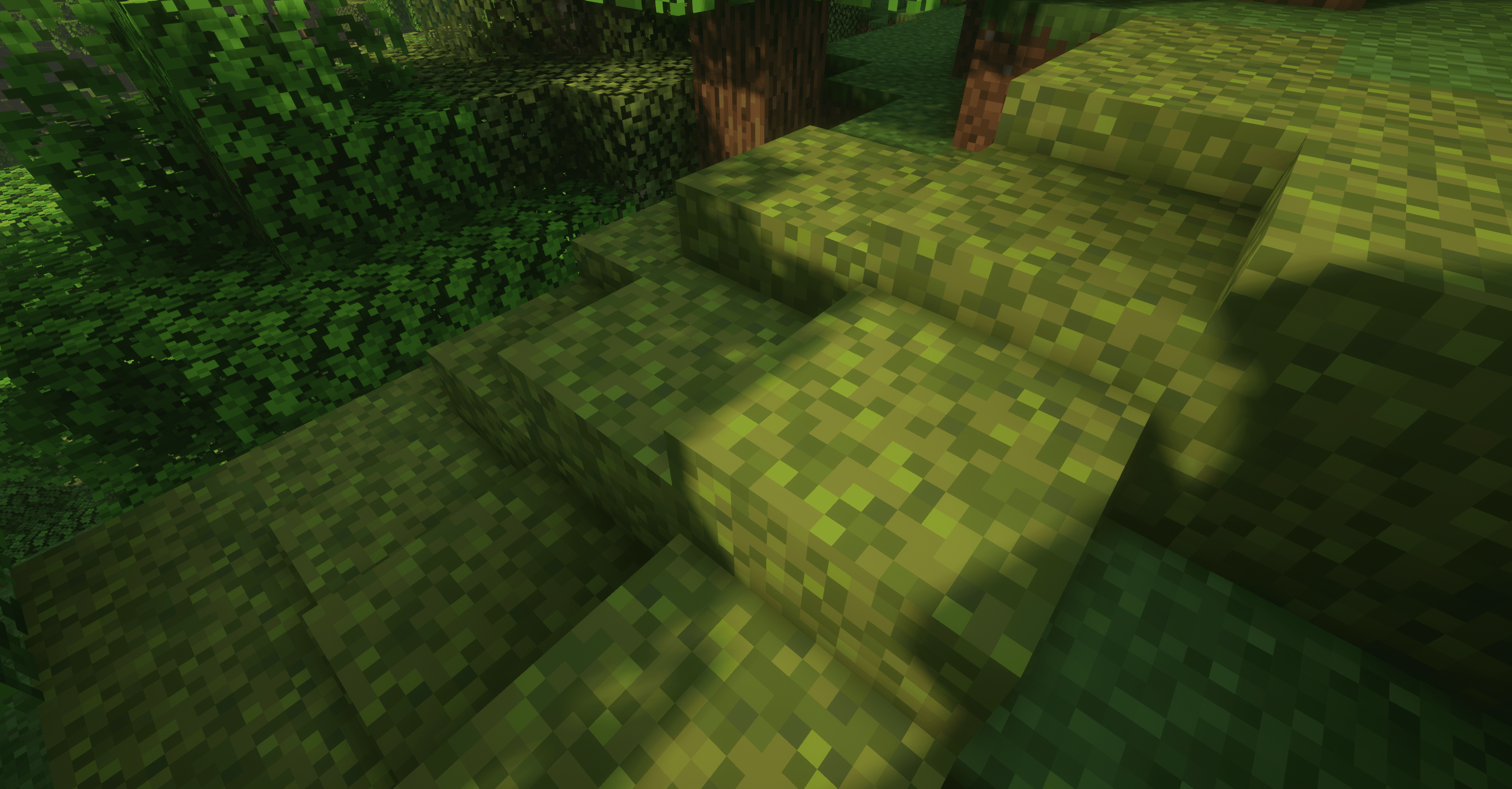 Mossy Hill 3