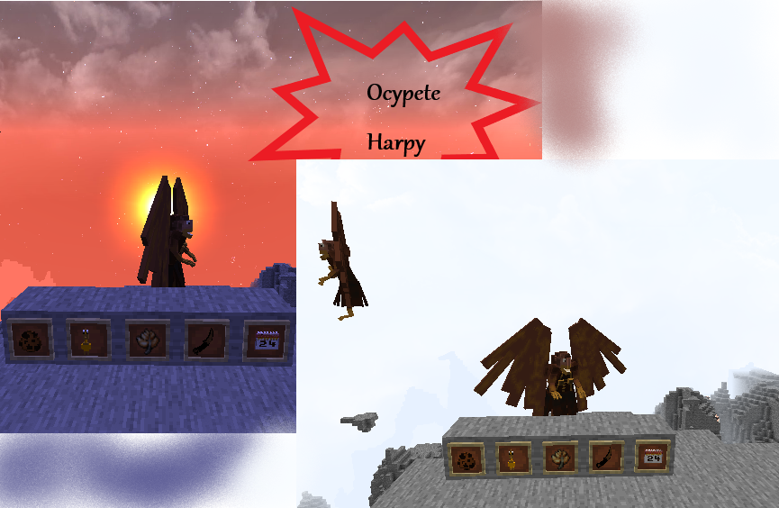 Ocypete Harpy Update, Jenuary 2022