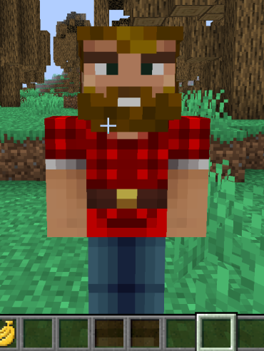 New Update WoodCutter