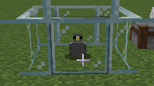 pigeon in game