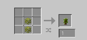 forest tree sapling