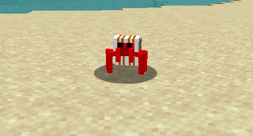 Hermit crab