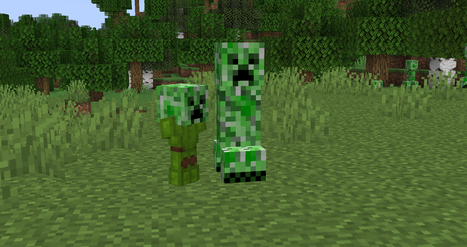 Baby Creeper