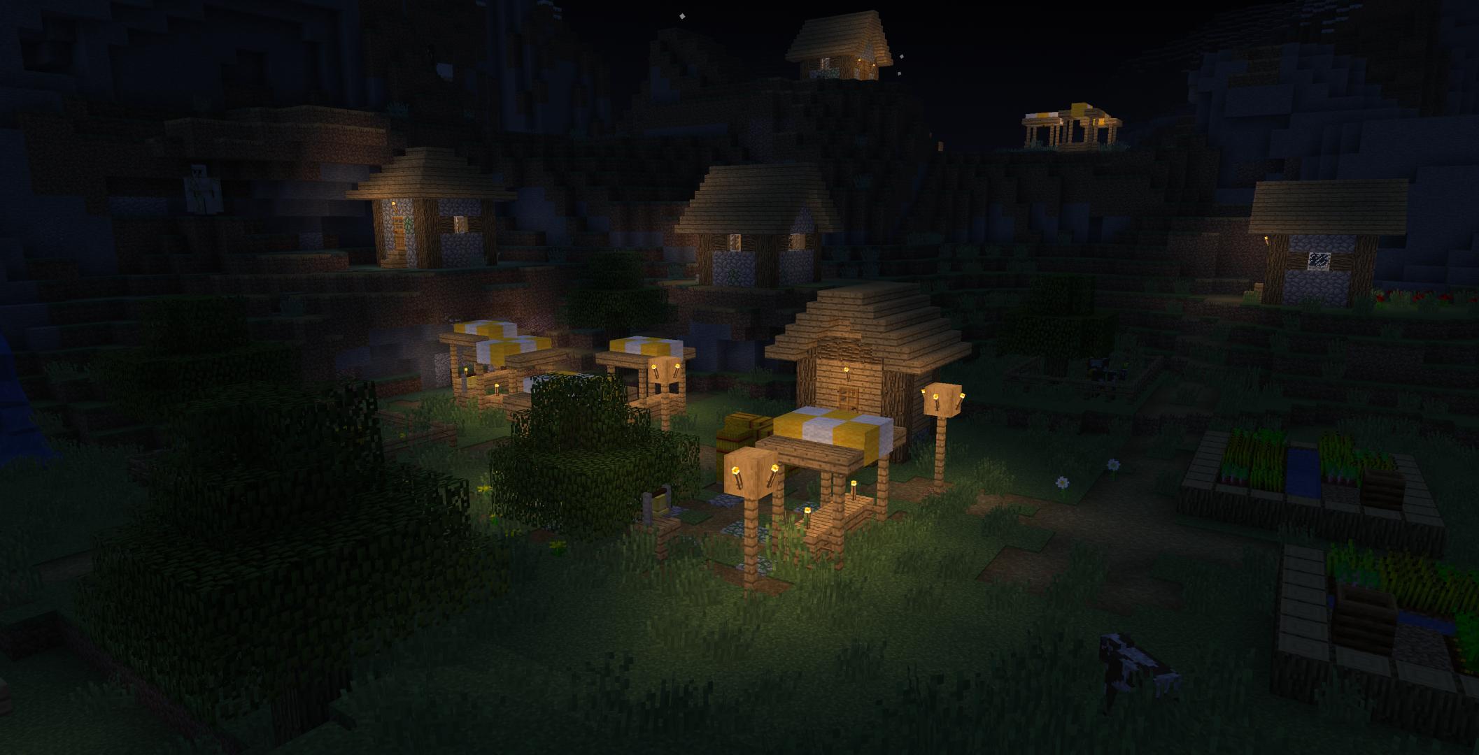 Village at night