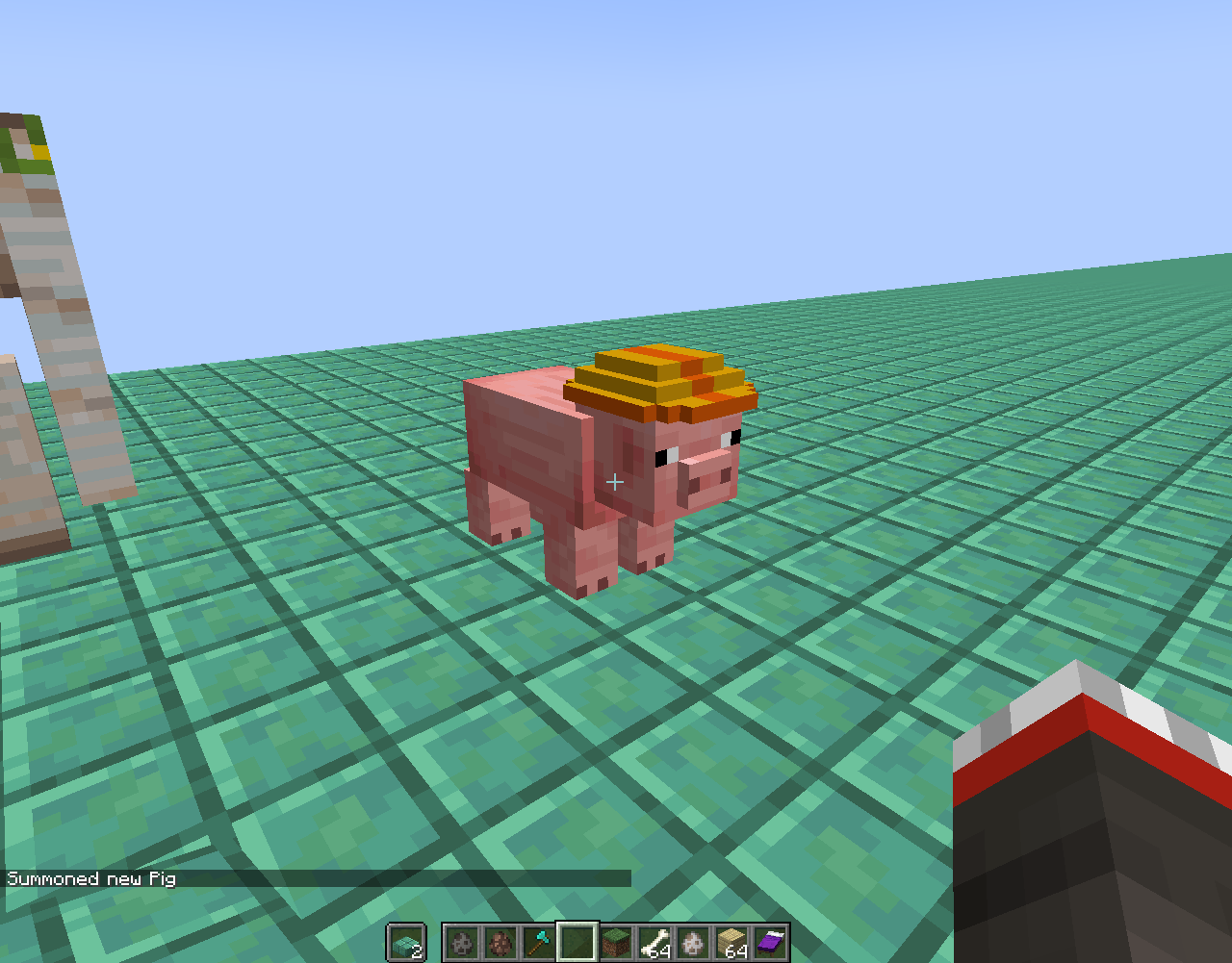 Pig