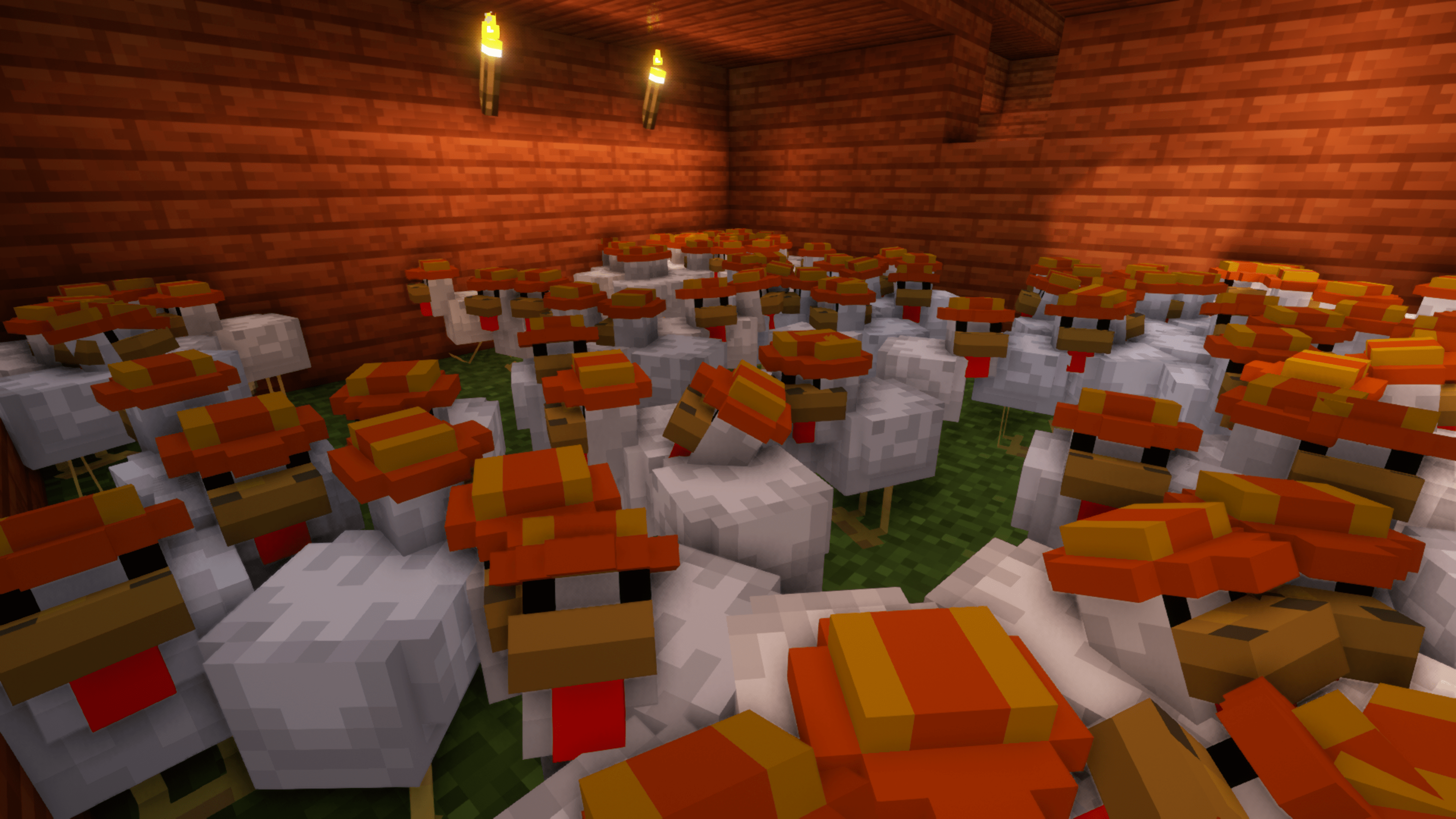 chicken farm