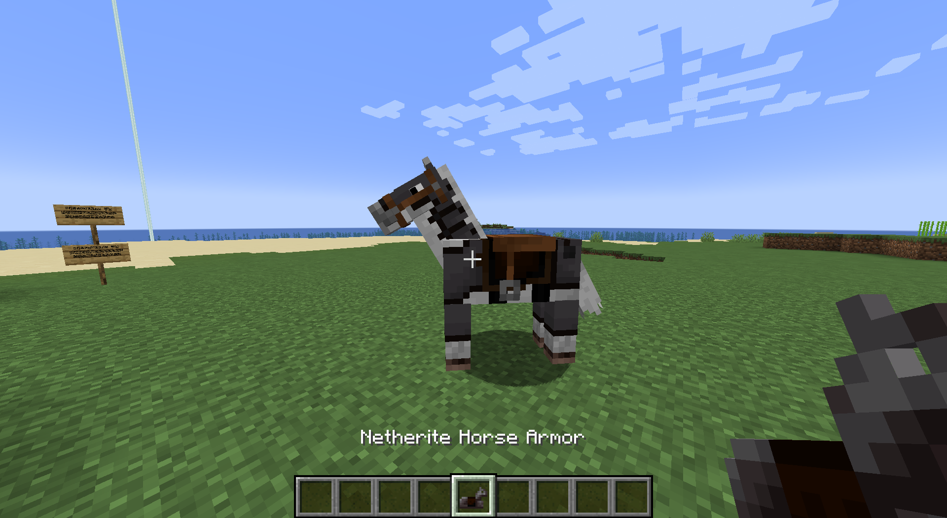 Netherite Horse Armor