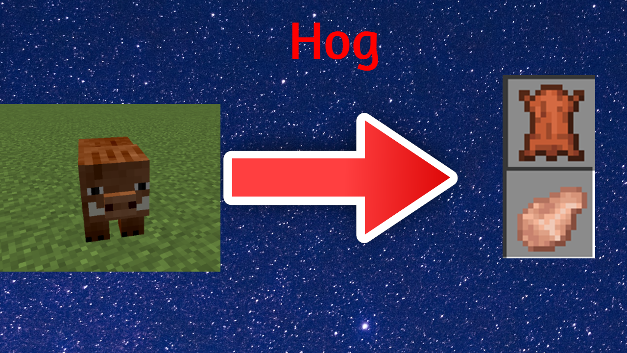 Hog