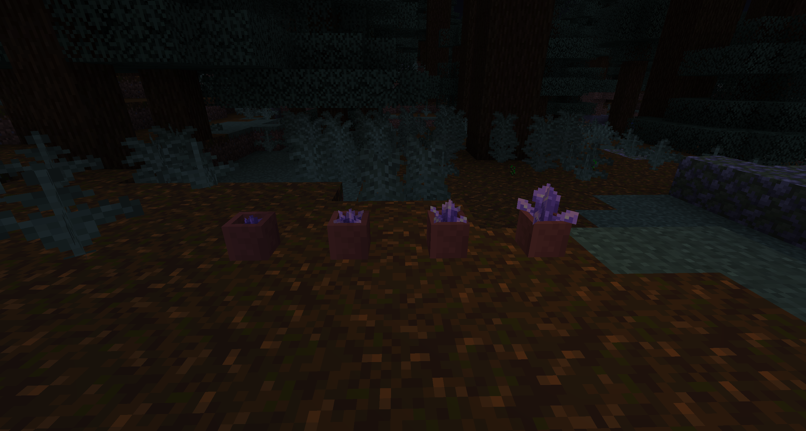 Potted Amethysts