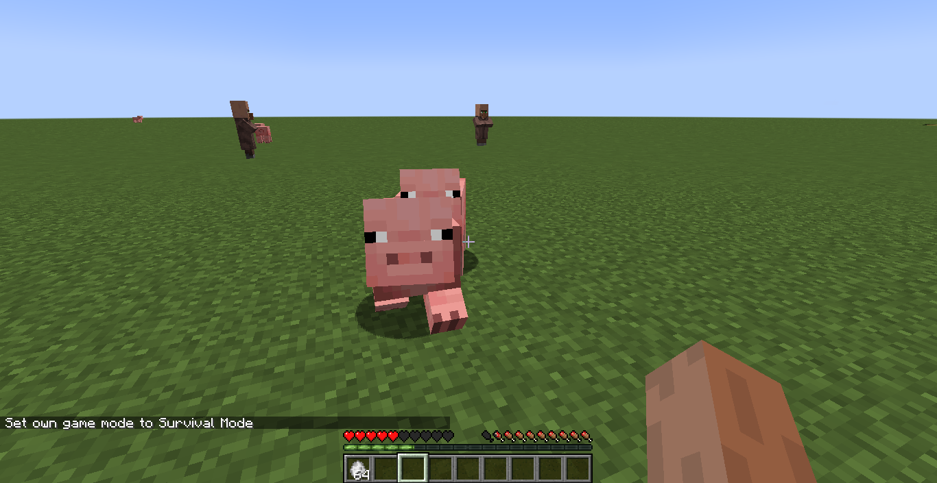 pig2