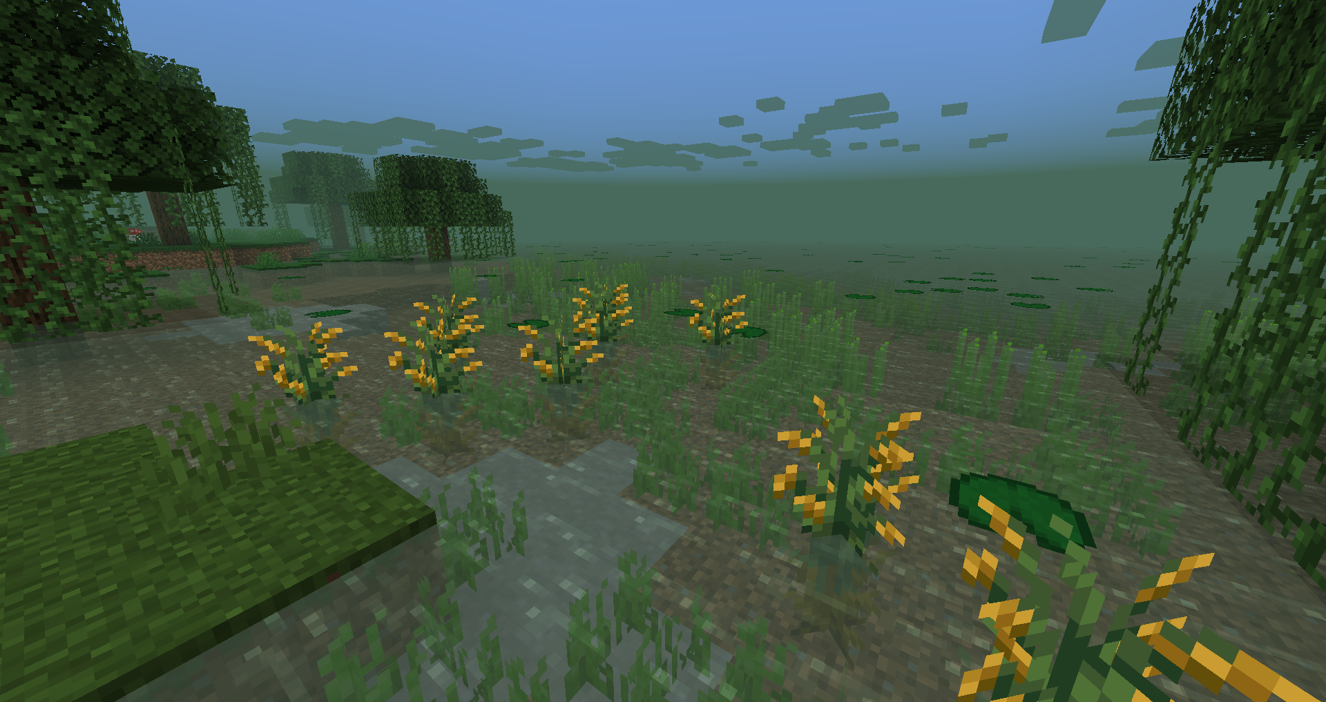 Swamp b epic
