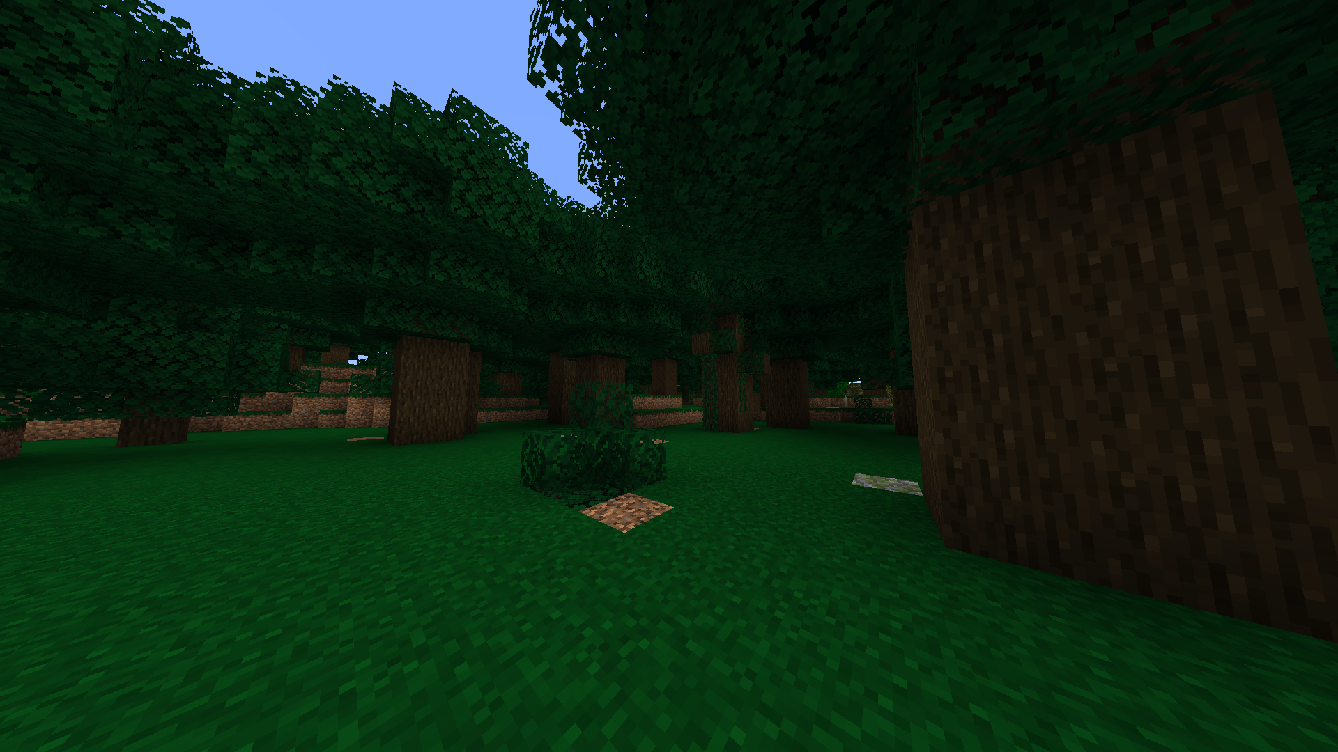 New dark oak forest