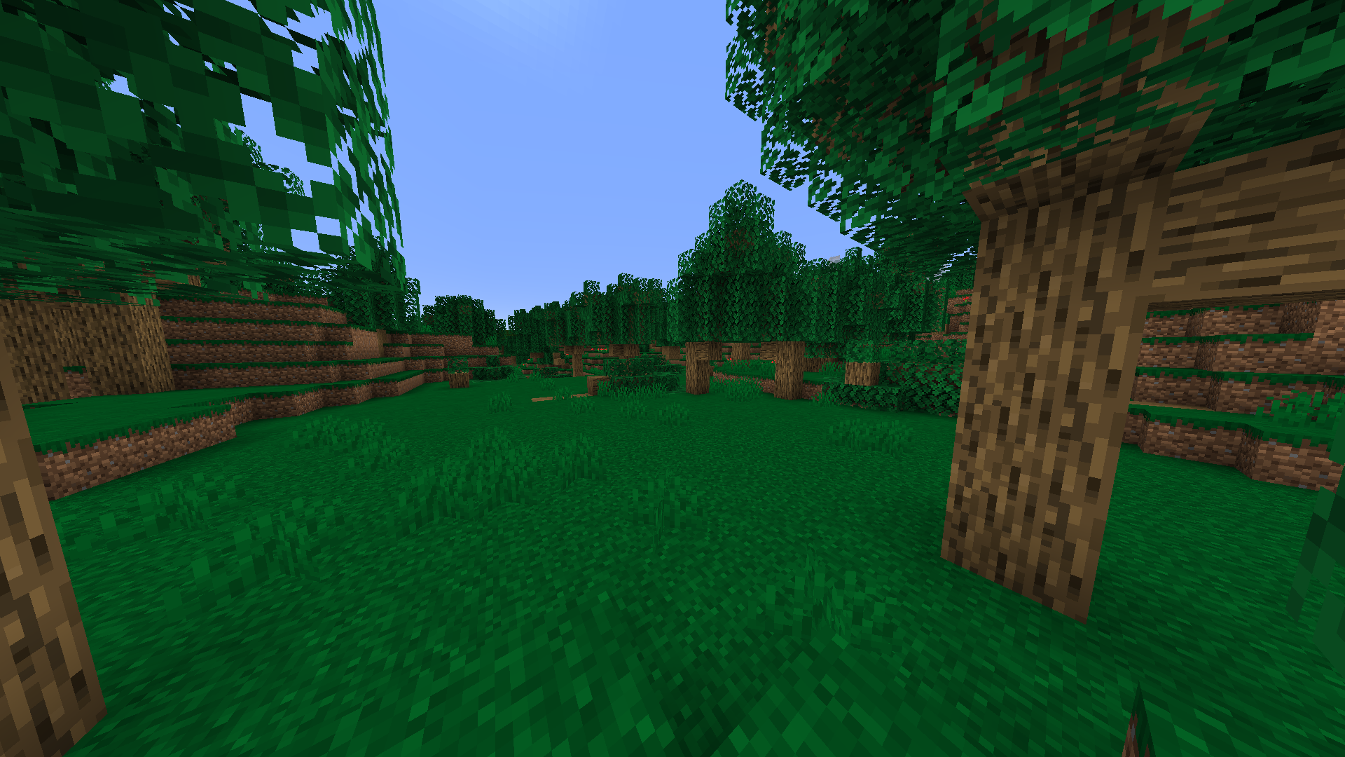 New oak biome