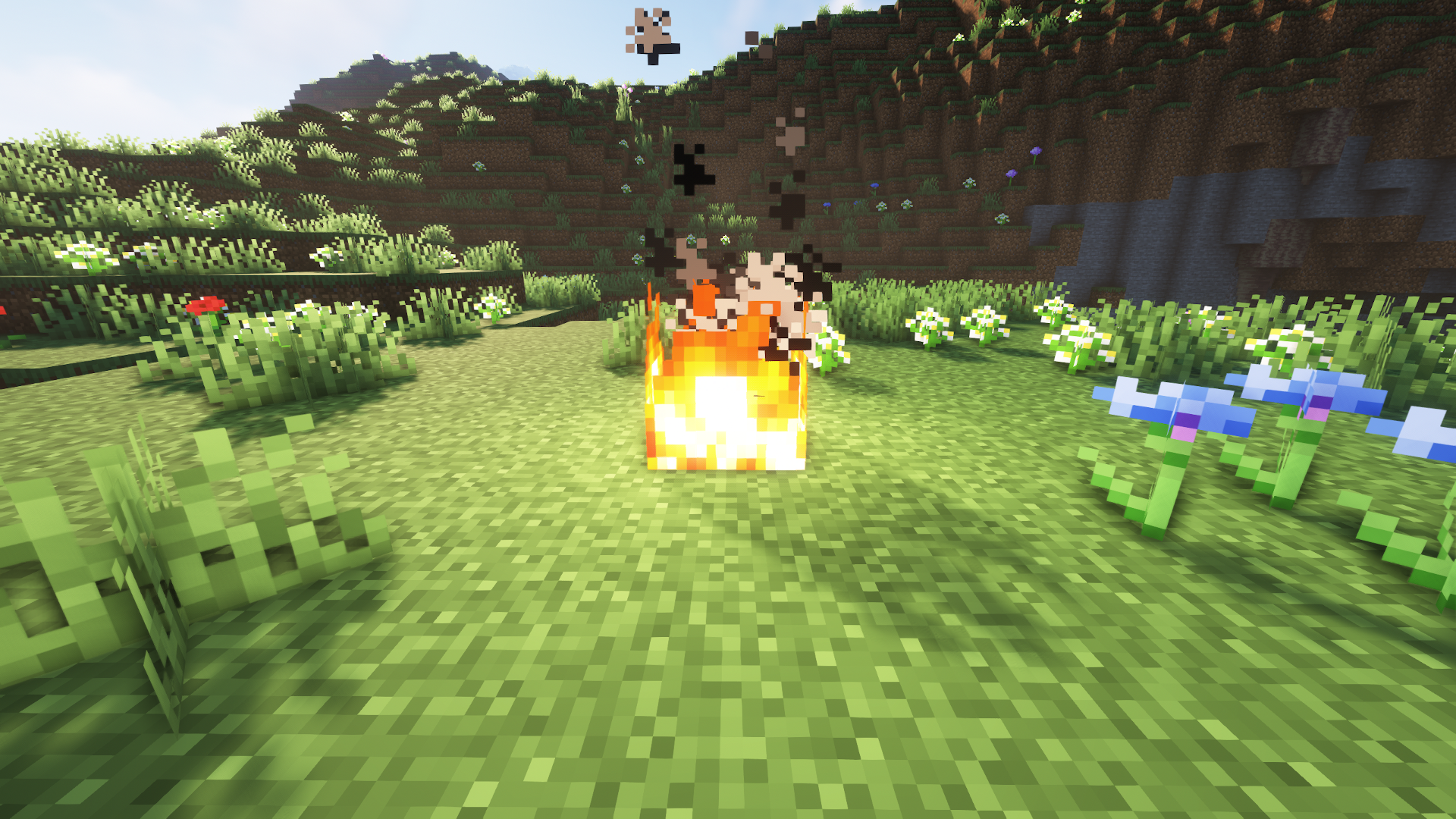 Lower fire minecraft