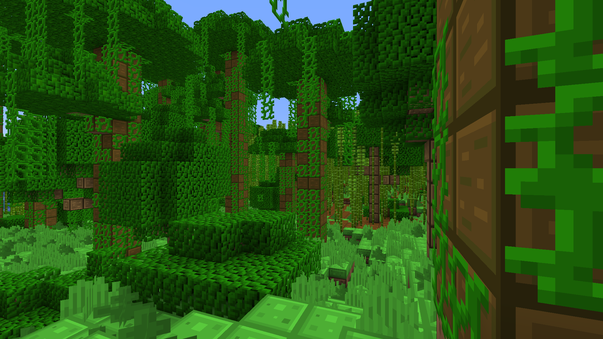 Jungle #2