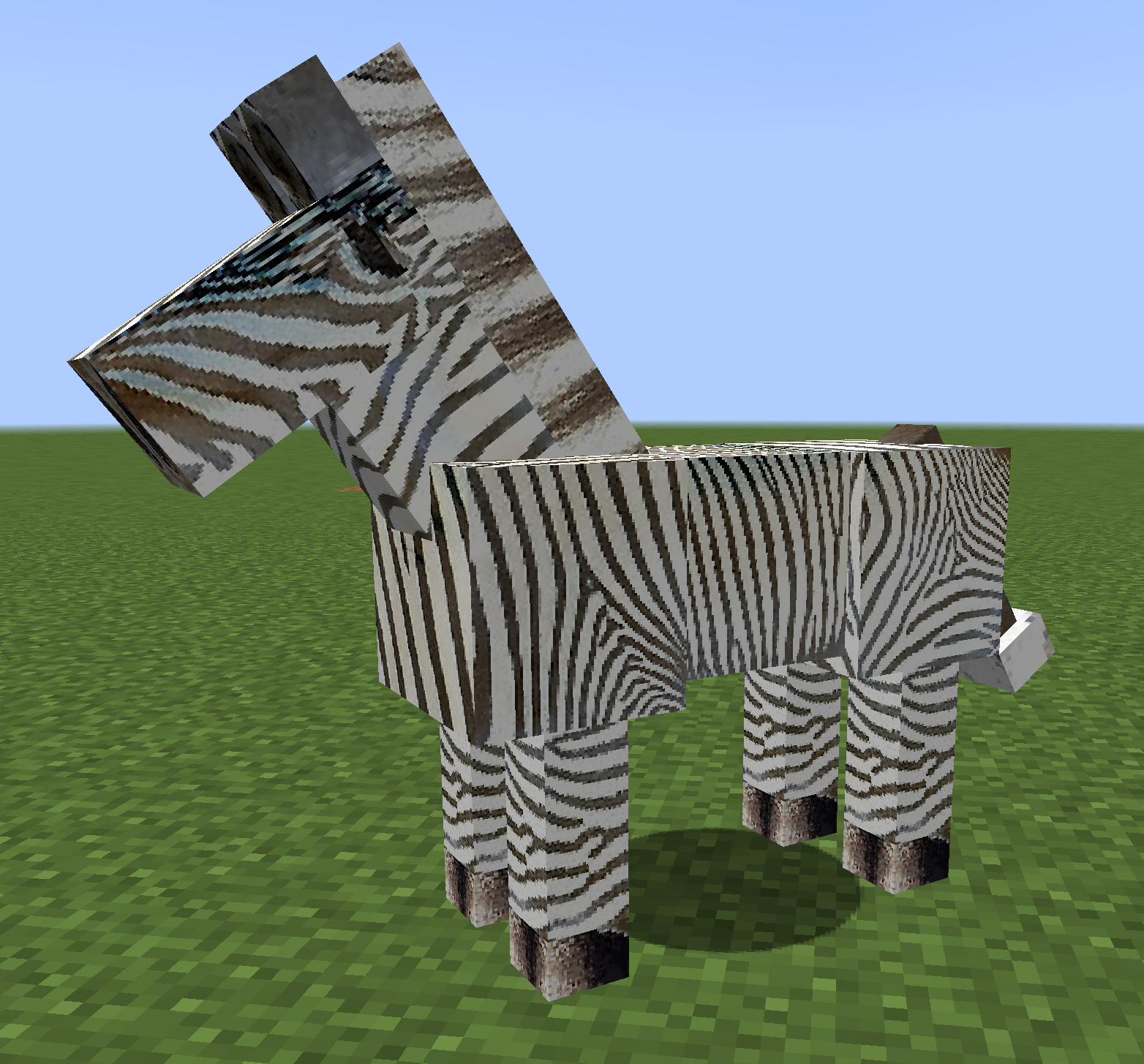 Albino zebra