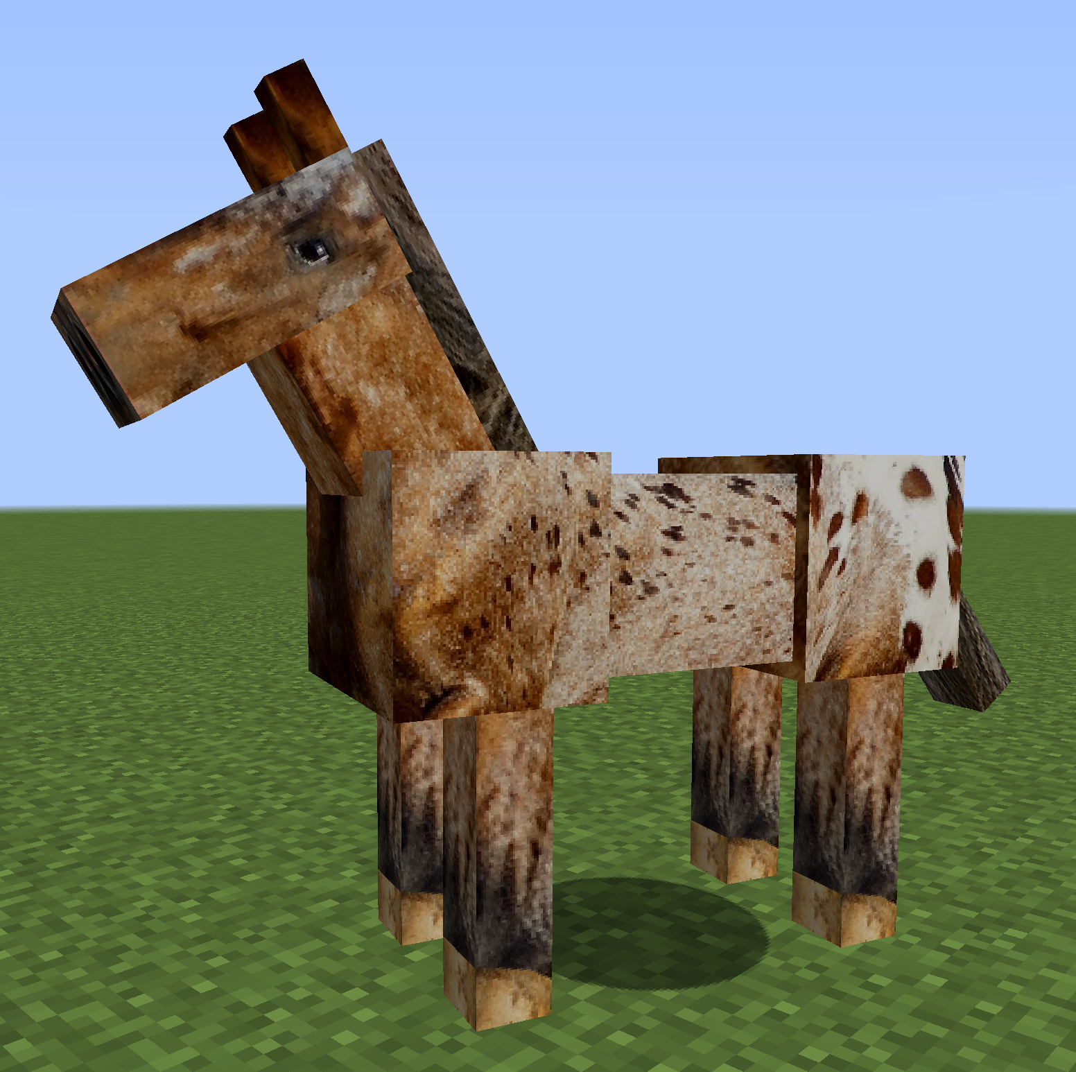 Appaloosa