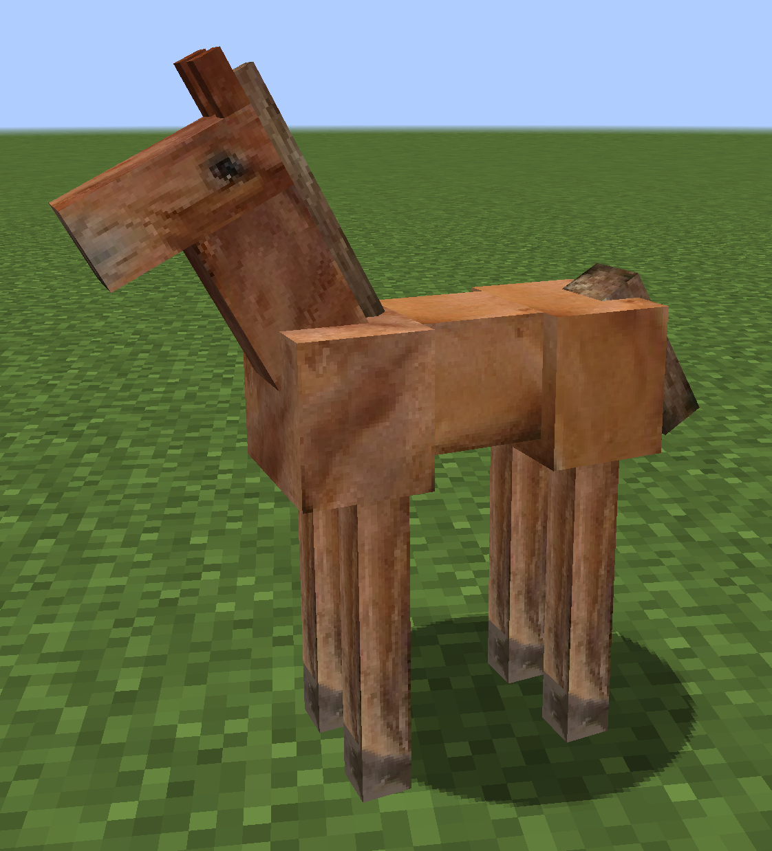 Foal