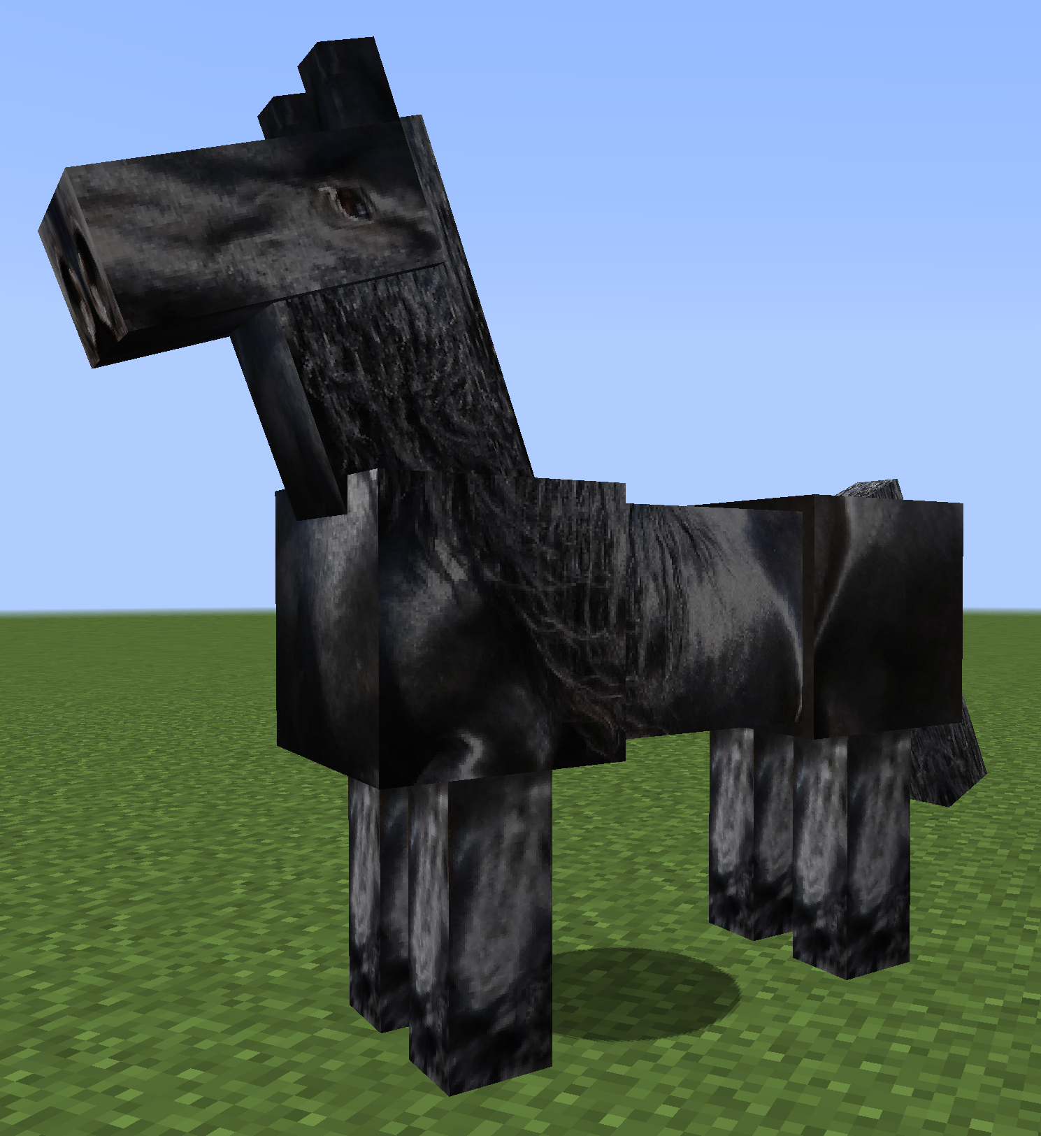 Friesian horse