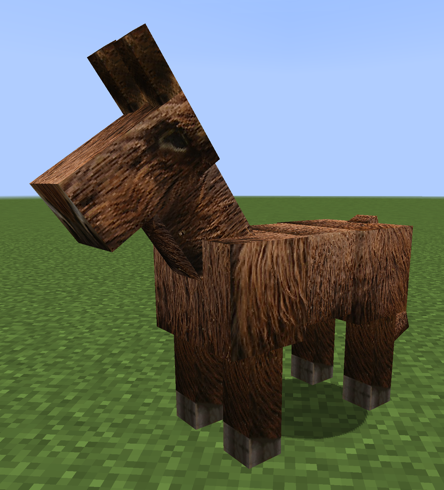 Poitou donkey