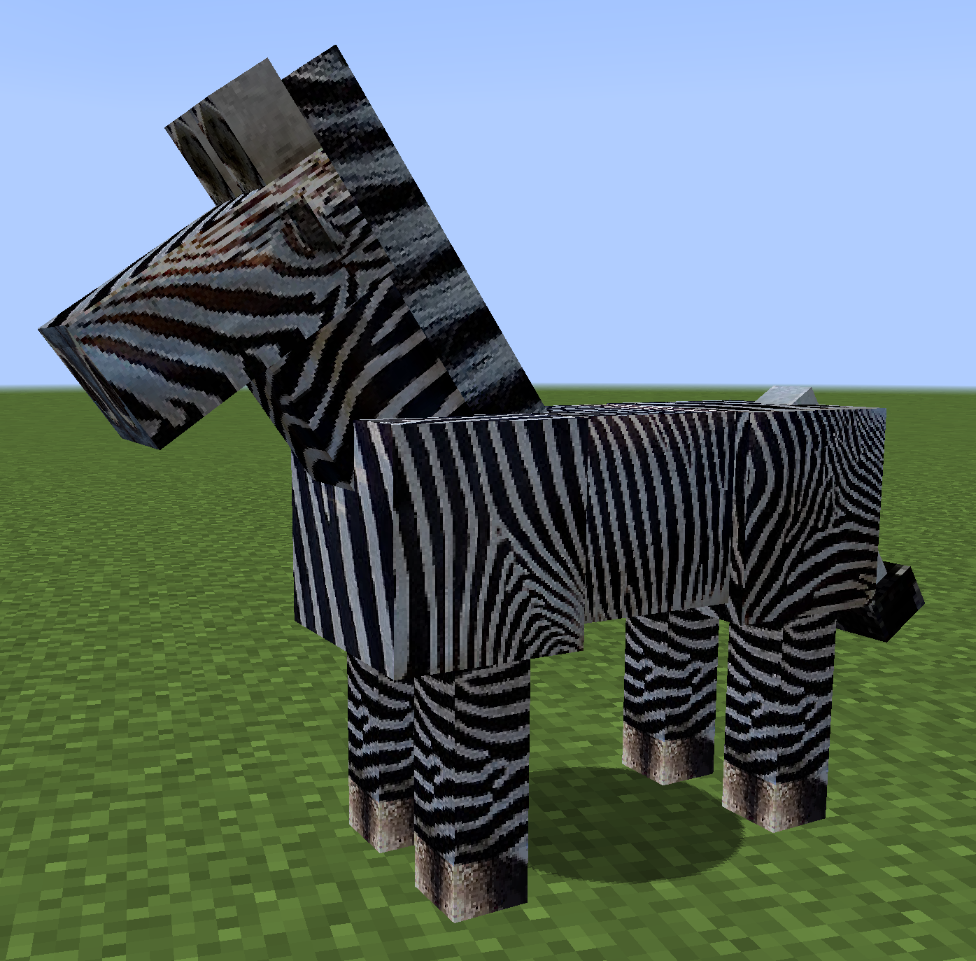 Zebra