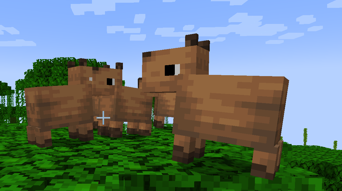 new capybaras 