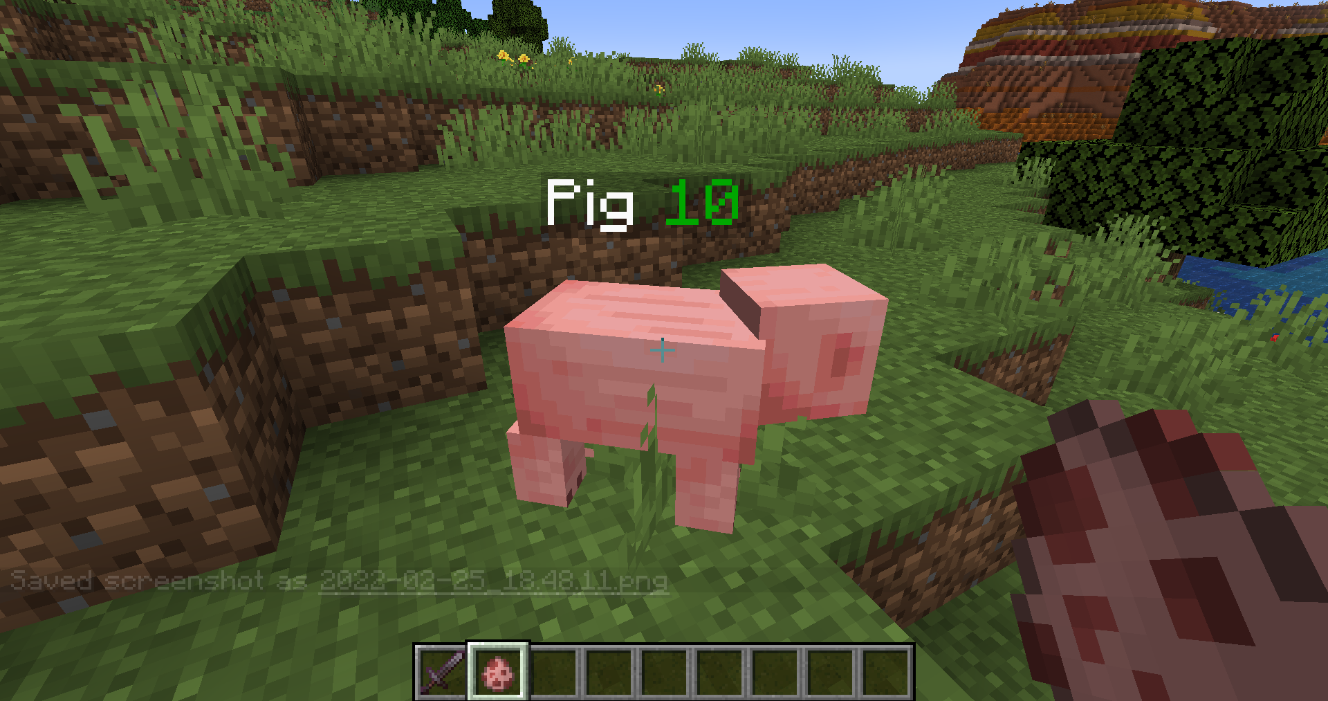 Pig normal life