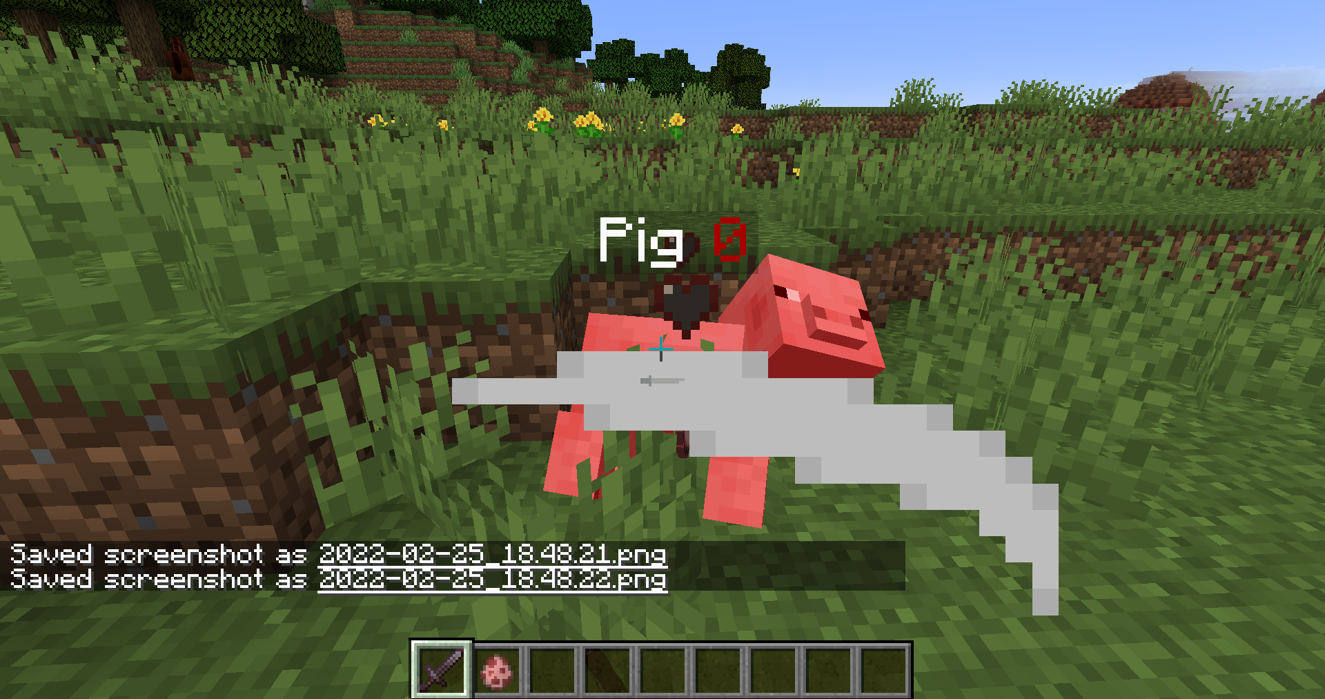 Pig Dying