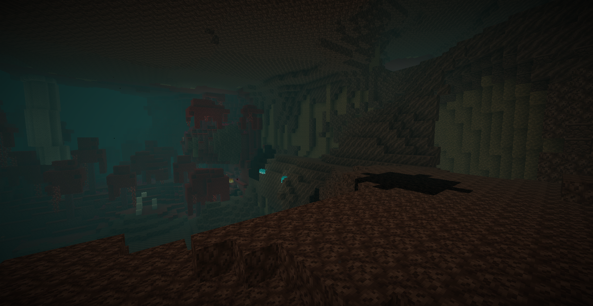 A New Nether
