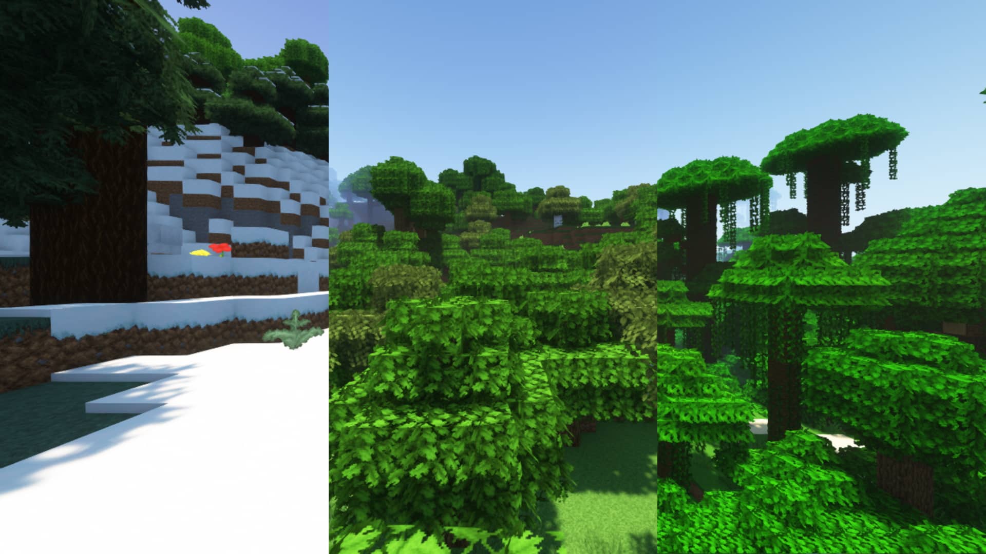 A mix of biomes