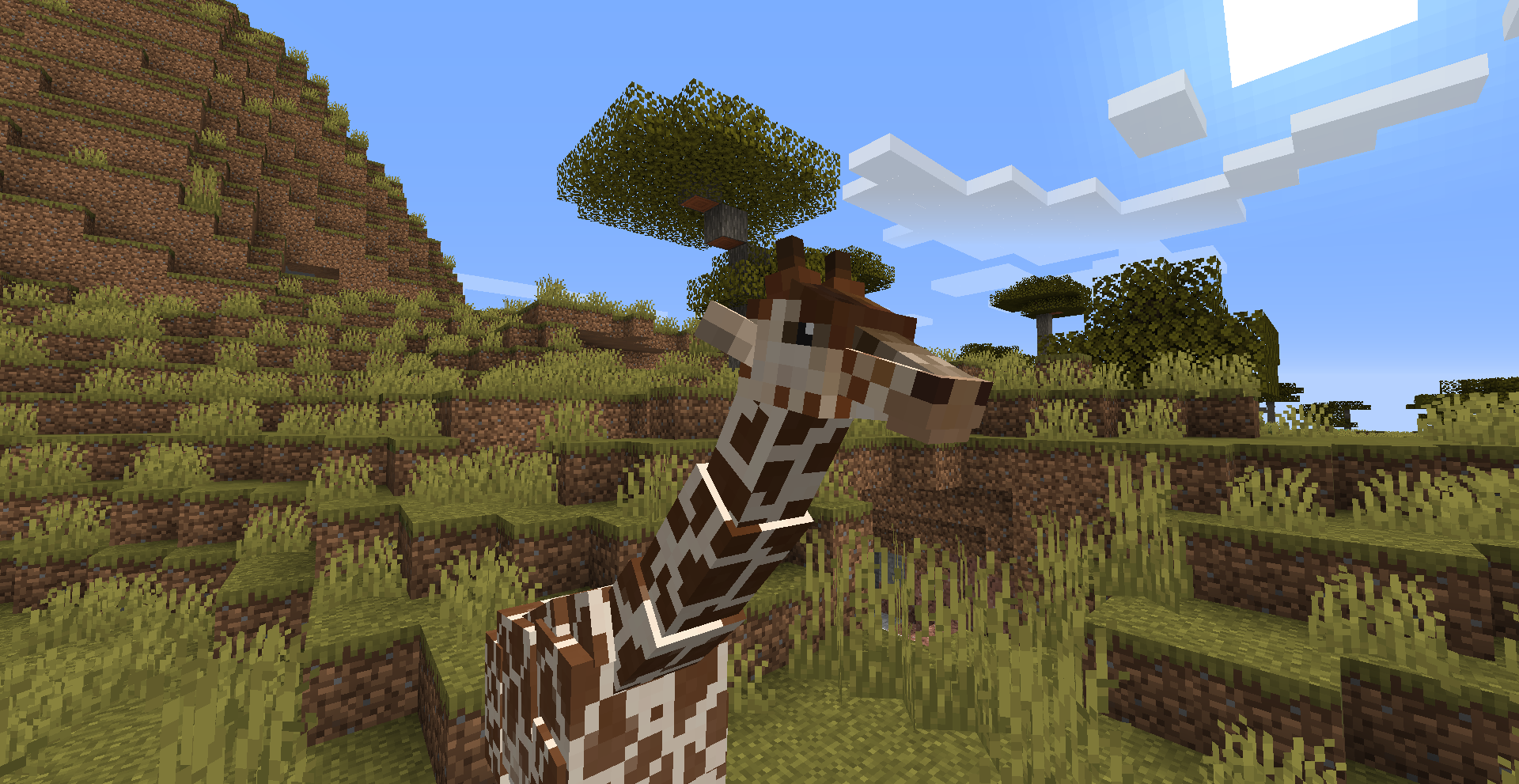 Reticulated Giraffe on the Savanna 