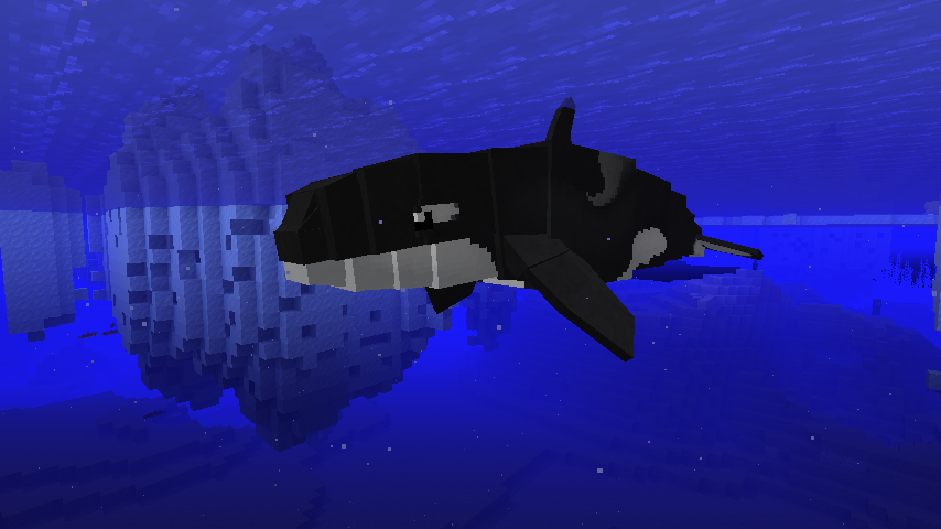 Orca making its way through a frozen ocean