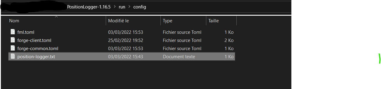 Path to the config file