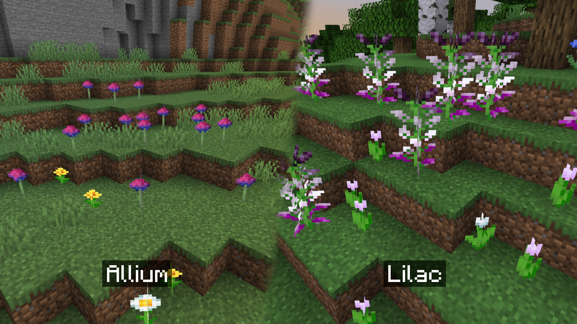 LGBT+ addons — screenshot 1