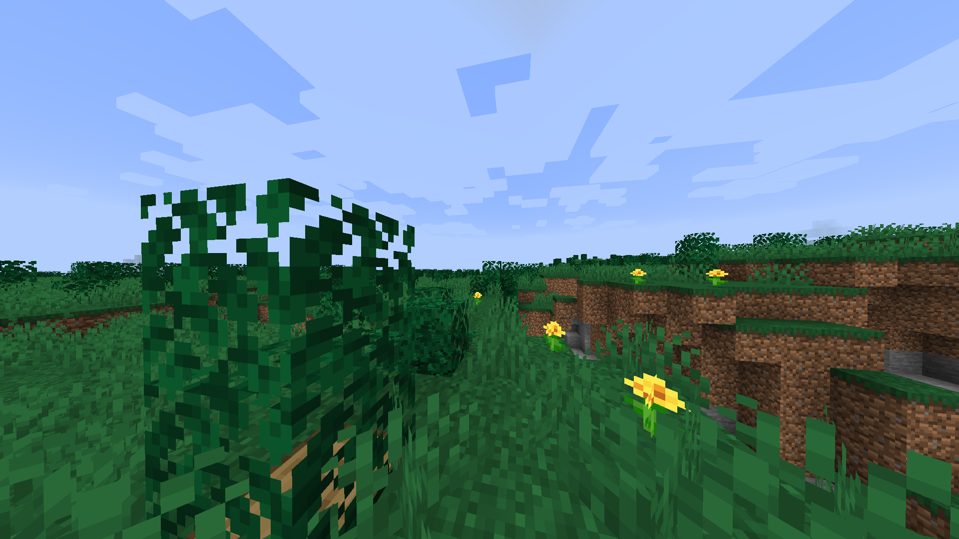 New field biome